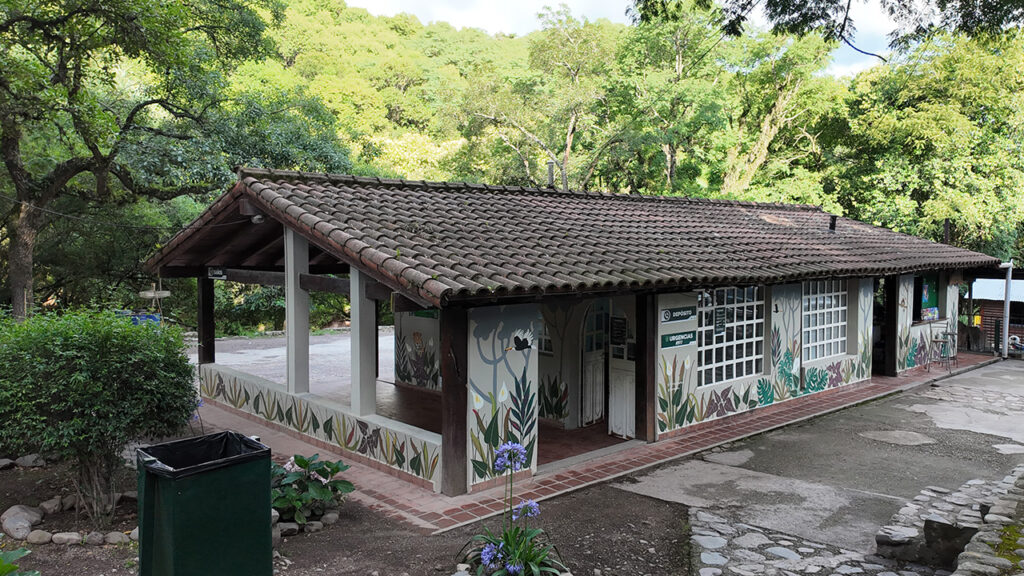 Intervención artística en la Quebrada de San Lorenzo